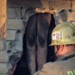 Petugas berusaha menyelamatkan perempuan bugil yang nyangkut di cerobong asap. foto: merdeka.com