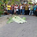 Mayat korban tergeletak di jalan sebelum dievakuasi petugas.