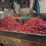 Harga cabai merah keriting di Jatim hari ini mengalami penurunan. Foto: Sulthon/BANGSAONLINE.