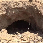 Terowongan bawah tanah yang ditemukan mengindikasikan lokasi tersebut merupakan kompleks pemukiman yang padat penduduk.
