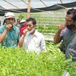 Dari kanan ke kiri - Andi Sanjaya Putra (Ketua PSM), Agus Fatoni (PPL DKPP Kota Kediri), dan Imam W. Zarkasyi (pemilik KLM Agro) saat memakan langsung sayuran kangkung yang ditanam dengan sistem hidroponik. foto: Muji Harjita/ BANGSAONLINE.com