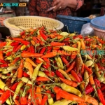 Harga cabai rawit di Gorontalo hari ini terpantau turun. Foto: Bangsaonline.