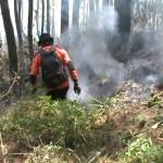 Laskar Semeru sedang memadamkan api di lereng gunung Semeru.