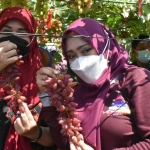 Bupati Ikfina ketika memperlihatkan anggur hasil dari pertanian warga di Desa Kedungmaling. 