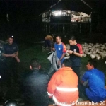 Kondisi kandang ayam usai terbakar.