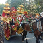 Tampak tiga cakades Tanjung Glugur, Kecamatan Mangaran, saat diarak pakai kereta kencana. foto: MURSIDI/ BANGSAONLINE