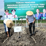 Penanaman varietas tebu baru di Desa Pinggirsari, Kecamatan Ngantru, Tulungagung.