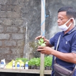 Rusydi, Penyuluh Pertanian Kampung Hijau Pertamina.