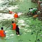 Relawan kebersihan bersama warga saat menggelar kerja bakti memunguti sampah di selokan, sungai, dan jalanan.