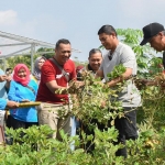 Wali Kota Kediri Abdullah Abu Bakar (dua dari kanan) saat ikut panen kacang tanah. Foto: Ist.