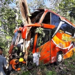 Bus Sugeng Rahayu yang mengalami kecelakaan tunggal. (foto: ist).