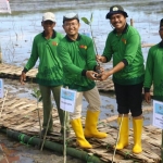 Wabup Moh. Qosim saat menanam mangrove di Mengare. foto: ist