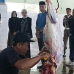 Wali Kota Kediri Vinanda Prameswati saat meninjau UPTD Rumah Potong Hewan (RPH) Kelurahan Pojok. (Ist)