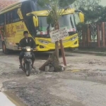 Kondisi jalan menuju Wisata Religi Pesarean Syaikhona Kholil yang ditanami pohon pisang oleh warga setempat.