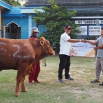 Penyerahan hewan kurban dari SIG di Desa Socorejo, Kecamatan Jenu, Tuban. Foto: Ist
