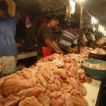 Daging ayam potong salah satu komoditi yang mengalami penurunan harga di bulan Ramadhan ini. foto: SYUHUD/ BANGSAONLINE