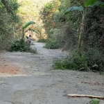 Jalan tapal batas di Desa Banyuurip, Kecamatan Senori, Tuban yang ditanami pohon oleh pemuda setempat.