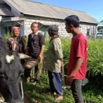 Korban bersama sapi yang dicuri.