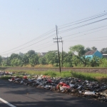 Sampah yang berserakan di pinggir Jalan Raya Cangringmalang Beji, Pasuruan.