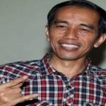 Jokowi tetap mempertahankan postur tubuh kabinet dengan jumlah 34 menteri seperti era SBY. Foto: sapulidinews.com