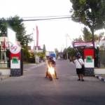?

Pintu gerbang RSUD dr H Moh Anwar.foto:lukman/BANGSAONLINE