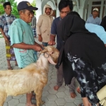 Warga meniup kambing di Masjid Al Istikmal, Desa Kaduara Timur, Kecamatan Pragaan, Kabupaten Sumenep Madura, Kamis (8/7/2021). foto: Agus Salimullah/ Bangsaonline.com