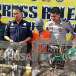 Kasat Reskrim Polres Gresik, AKP Adam Purbantoro saat menunjukkan tersangka beserta barang bukti burung langka yang dijual. foto: SYUHUD/ BANGSAONLINE