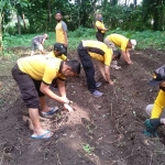 Personel Polsek Ngadiluwih, Polres Kediri saat melakukan penanaman sayur. foto: ist