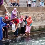 Paguyuban pedagang di obyek Wisata Pemandian Bektiharjo saat menebar ikan di sendang Desa Bektiharjo, Kecamatam Semanding, Kabupaten Tuban, Rabu (18/7).