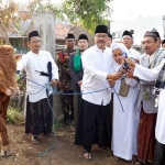 Wali Kota Pasuruan, Saifullah Yusuf atau yang akrab disapa Gus Ipul, ketika menyerahkan seekor sapi saat Hari Raya Idul Adha 1444 H.