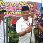 Bupati Fadeli menunjukkan cabai merah saat panen raya di Sukorame. 