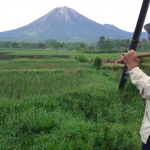 Seorang petani memantau Gunung Semeru dari kejauhan, dia menganggap bahwa guguran lava hal biasa. foto: IMRON/ BANGSAONLINE