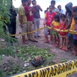Tengkorak kepala manusia terbungkus kresek hitam di tepi pantai Dusun Pecaron, Desa Pasir Putih, Kecamatan Bungatan Situbondo.