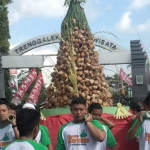 Tumpeng atau Gunungan Ketupat Raksasa saat diarak ke lapangan Kecamatan Durenan. foto: HERMAN S/ BANGSAONLINE