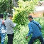 Petugas gabungan saat melakukan inventarisasi terhadap pohon sonokeling di Trenggalek. foto: HERMAN/ BANGSAONLINE