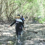 Gubernur Jawa Timur Khofifah Indar Parawansa saat melakukan penanaman mangrove di Kawasan Ekosistem Esensial (KEE) Teluk Pangpang, Kecamatan Muncar, Kabupaten Banyuwangi, Jum’at (29/10). foto: Humas Pemprov Jatim