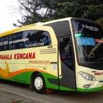 ilustrasi bus pahala kencana