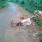 Jembatan ambrol di Kecamatan Kerek, Kabupaten Tuban.