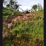 Titik longsor di area persawahan Desa Hargomulyo, Kec. Ngrambe, Ngawi.