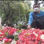 Makam RF di TPU desa setempat.