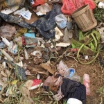 Limbah medis banyak ditemukan di kawasan pantai Pancer Door. 