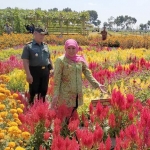 Khofifah berkeliling usai meresmikan Dewi Cemara di Papar, Kediri. foto: jatimtimes