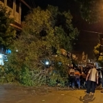 Lokasi pohon tumbang di Jalan Residen Pamuji Kota Mojokerto.