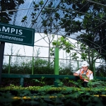 Area pembibitan tanaman untuk reklamasi lahan pascatambang Pabrik Tuban. (foto: ist)