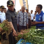 Wakil Bupati Tuban, Ir Noor Nahar Husein saat mencicipi kacang tanah yang dipamerkan di Pekan Daerah Petani-Nelayan ke III. foto: SUWANDI/ BANGSAONLINE