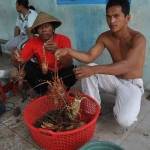 Penangkapan lobster secara ilegal (ilustrasi). foto: krjogja