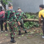 Petugas gabungan saat kerja bakti membantu warga terdampak angin puting beliung di Krian, Sidoarjo.