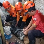 Petugas saat berusaha mengangkat buaya milik Zainudin