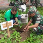 Kegiatan tanam ratusan Cemara di Pantai Pancer Door.