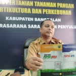 Kabid Prasarana, Sarana, dan Penyuluhan Dinas PTPHP Bangkalan, C. Henry Kusumas Karyadinata, saat memberi keterangan.